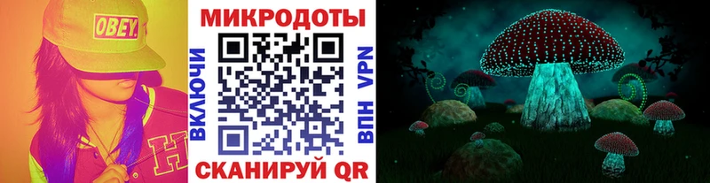 Псилоцибиновые грибы Psilocybe где купить наркоту Лодейное Поле
